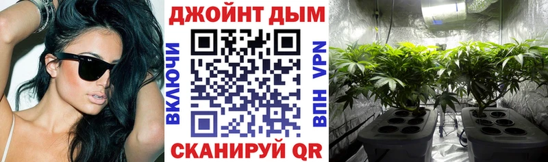 Купить где Канск Шишки марихуана сатива